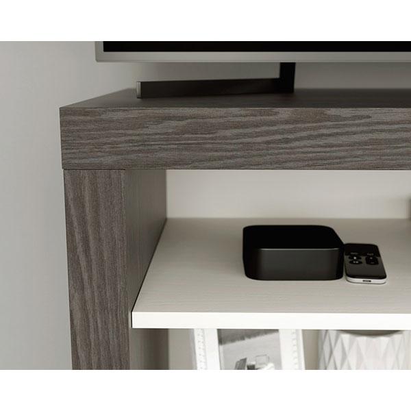 TV Stand with Storage