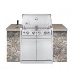 Bbq Grill Gas Weber Summit