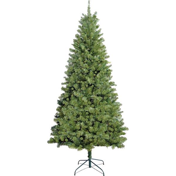 Xmas Tree Douglas Fir 7feet