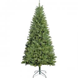 Xmas Tree Douglas Fir 7feet